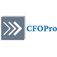 Business Running Without a Financial Co-Pilot?