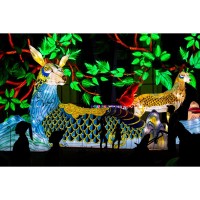 Group Pricing, Event Packages Available For Asian Lantern Festival: Into The Wild, Presented By Publix