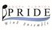 South Florida Pride Wind Ensemble, "The Four Elements"