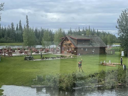 Sled Dog Training Camp