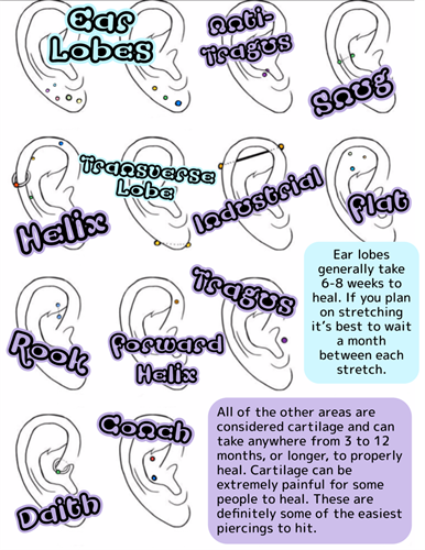 Gallery Image ear_chart.png