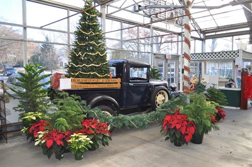 Christmas in the greenhouse