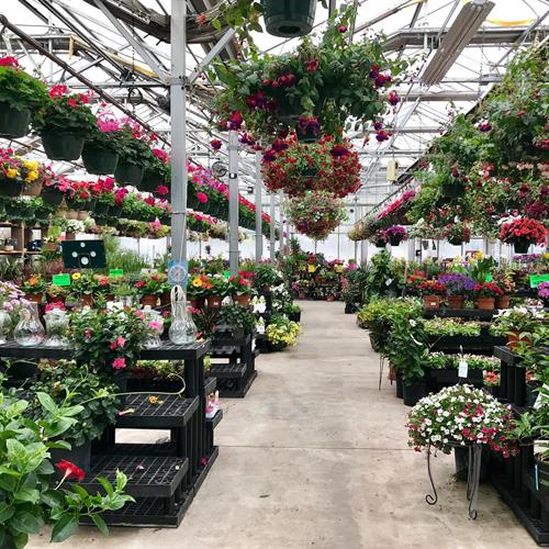 Our 10,000 square foot retail greenhouse