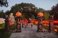 Choose Lights Instead of Frights: A Celebration of Halloween with Dinosaurs & Mythical Creatures