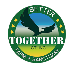 Better Together CT, Inc.
