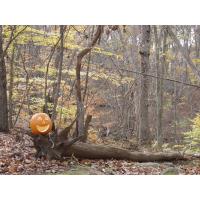Nature Center's Spooky Nature Trail Set for Oct 23 & 24