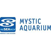 Mystic Aquarium's Coan Addresses Whale Extenction at Ferguson Library's Civility in America Series