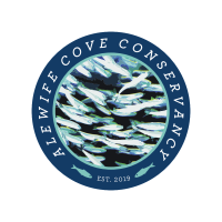 Alewife Cove Conservancy's Annual Benefit Bash on November 11th at Ocean Beach Park