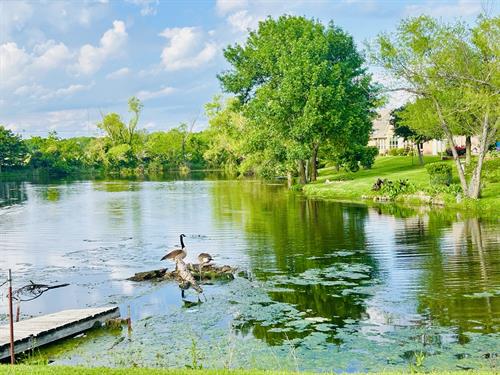 Gallery Image fishing_pond.jpeg Gallery Image fishing_pond.jpeg