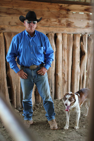 World-renown cattle dog trainer, Roy Cox, has been a Mustang International clients since 2012.