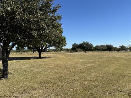 Gallery Image IMG_8466.jpeg