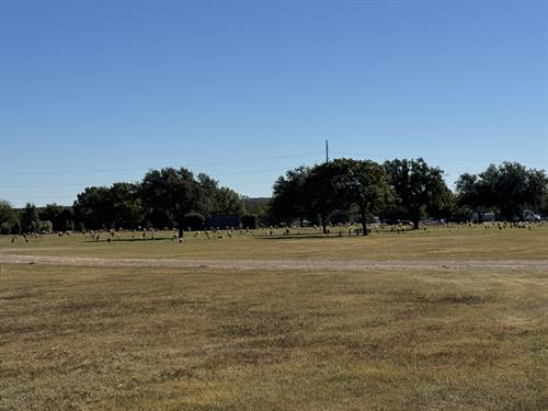 Gallery Image IMG_8467.jpeg