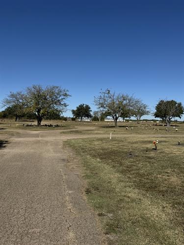 Gallery Image IMG_8473.jpeg