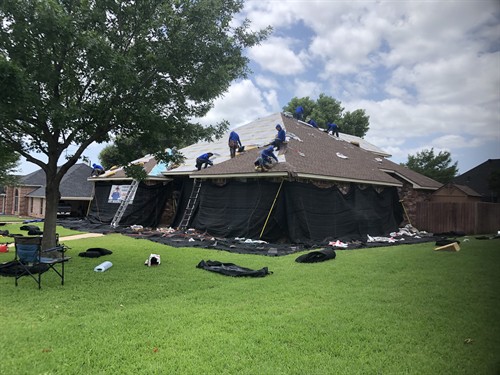 Gallery Image IMG_9417.jpeg