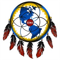 Indigenous Institute of the Americas