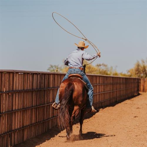 Roping Arena Kits Roping Arena Kits