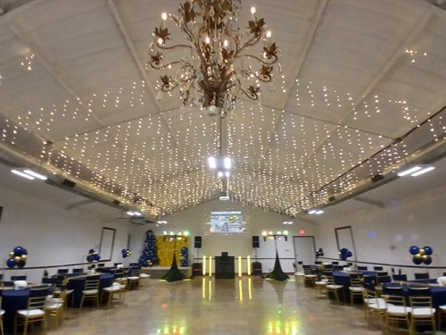 Gallery Image 1000016478.jpg