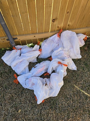 Gallery Image 20260206_125934.jpg