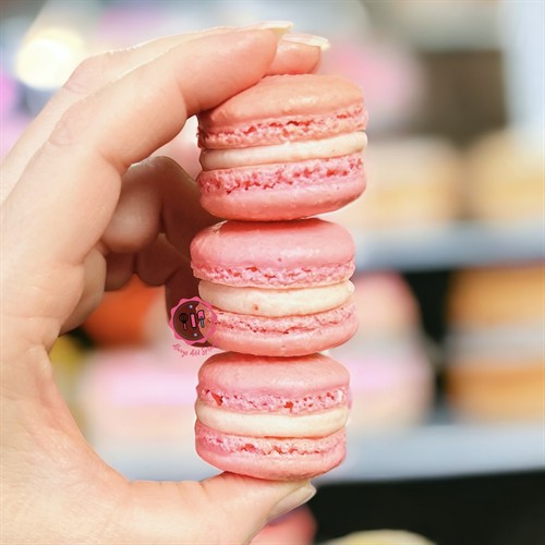 Gallery Image eZy_Watermark_26-03-2026_01-47-01-6950PM.jpeg