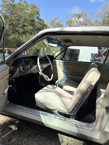 Gallery Image IMG_0113_(1).jpeg