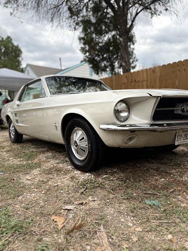 Gallery Image IMG_0119.jpeg Gallery Image IMG_0119.jpeg