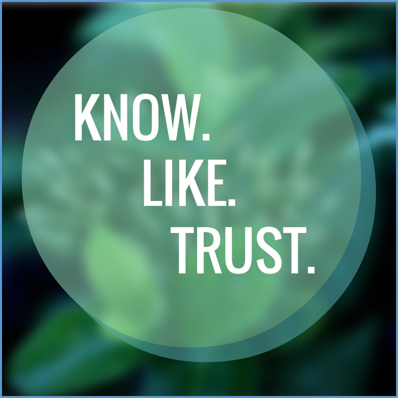 Boost Your Business: Leveraging Chamber Membership for the Know, Like, and Trust factor