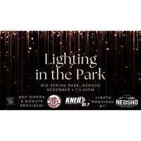 Lighting at Big Spring Park