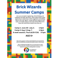 Brick Wizard's Summer Camp