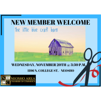 New Member Welcome - The Little Blue Craft Barn 