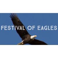 Stella's Annual Festival of Eagles