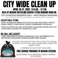 City Wide Clean Up