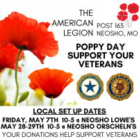 Poppy Day - Support Your Veterans