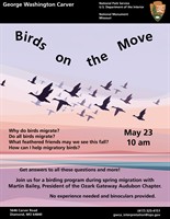 Birds on the Move