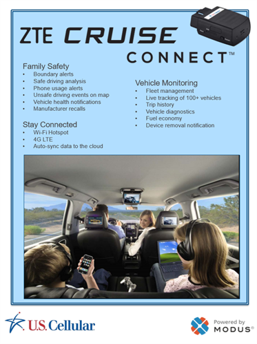 Vehicle Monitoring & Diagnostics - For your family or business