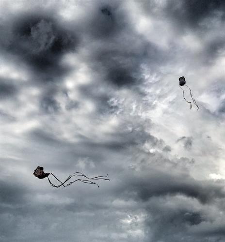 Flying kites at Morse Park in Neosho MO