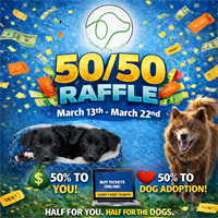 A Dog's Dream's March 50/50 Raffle Fundraiser