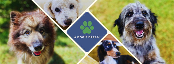 A Dog's Dream Inc.