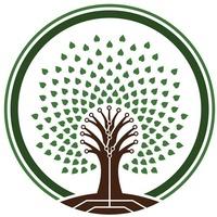 Ozark Fiber