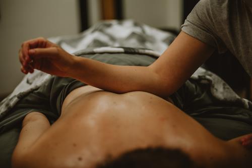 Gallery Image Low_Back_1_-_Copy.jpg