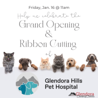 Ribbon Cutting Glendora Hills Pet Hospital