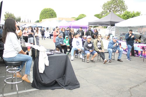 Vibechella Music and Arts Event