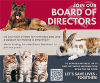 Inland Valley Humane Society & S.P.C.A.