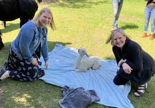 Gallery Image Laura-Catherine-with-alpaca.jpg