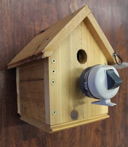 Found object birdhouses by Wayne Beldo