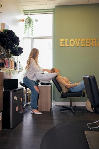 Gallery Image SolaSalons_TrueNorth_January_1000.jpg