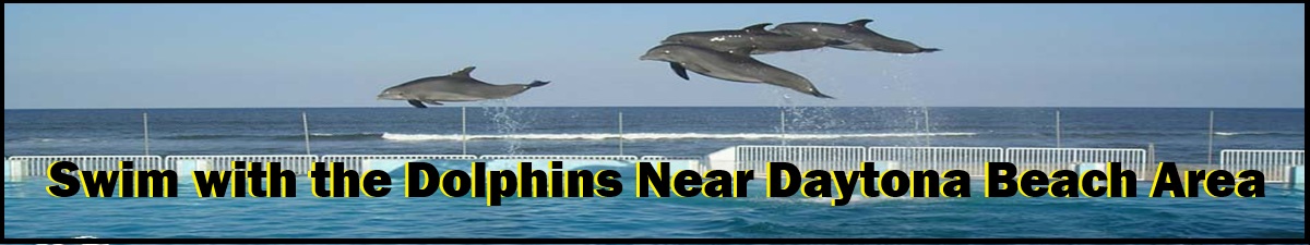 Dolphin World Dolphin World