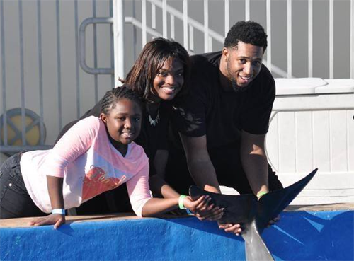 Dolphin Meet and Greet (poolside) - from 1 years old and up