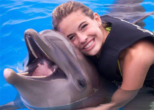 Make a Dolphin Friend in Florida