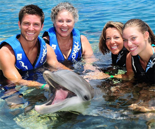 Family Photos with the Dolphin
