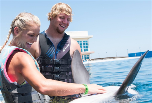 You will never forget petting a Dolphin 